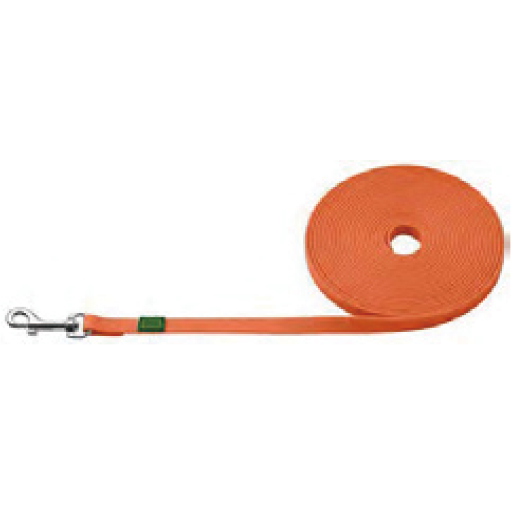 Leash for Dogs